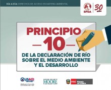 Principio 10: De la Declaración de Río sobre el Medio Ambiente y el Desarrollo
