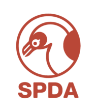 Icon of 01-Logo-SPDA-Rojo-Vertical Transparente