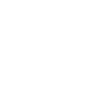 Icon of 03-Logo-SPDA-Blanco-Vertical Transparente