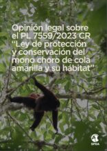 Opinión legal sobre el PL 7559/2023-CR, Ley de Protección y Conservación del Mono Choro de Cola Amarilla y su hábitat