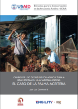 Cambio de uso de suelos por agricultura a gran escala en la amazonía peruana: el caso de la palma aceitera