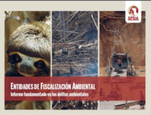 Entidades de fiscalización ambiental: informe fundamentado en los delitos ambientales