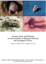 Fairness, equity and efficiency for the Convention on Biological Diversity and the Nagoya Protocol: analysis of a rodent, a snail, a sponge and a virus