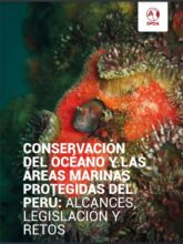 Conservación del Océano y las Áreas Marinas protegidas del Perú