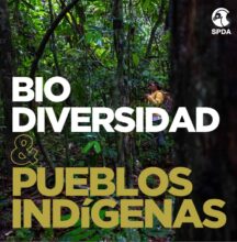 Biodiversidad & Pueblos Indígenas
