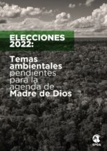 ELECCIONES 2022: Temas  ambientales pendientes  para la agenda de  Madre de Dios