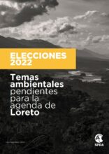 ELECCIONES 2022 Temas  ambientales pendientes  para la agenda de  Loreto