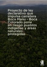 Proyecto de ley declarativo que impulsa carretera Boca Manu - Boca Colorado pone en riesgo pueblos indígenas y áreas naturales protegidas