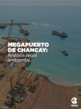 Megapuerto de Chancay: Análisis legal ambiental