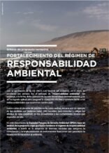 Síntesis de propuesta normativa  Fortalecimiento del régimen de responsabilidad ambiental