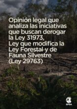 Opinión legal que analiza las iniciativas que buscan derogar la Ley 31973, Ley que modifica la Ley Forestal y de Fauna Silvestre (Ley 29763)