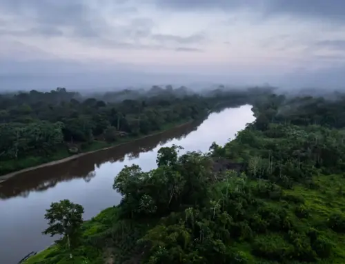 Democracia ambiental en crisis: lo que pierde el Perú por no ratificar el Acuerdo de Escazú