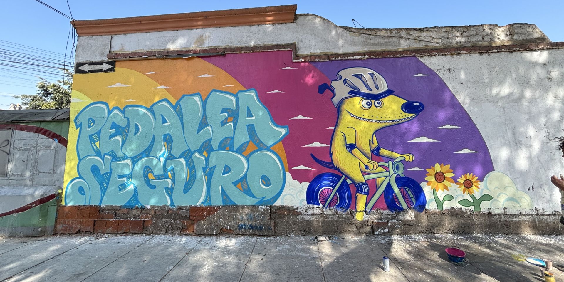 SPDA